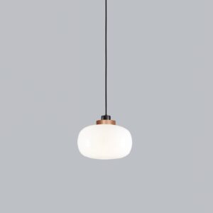 Tooy Legier 557.24L sospensione